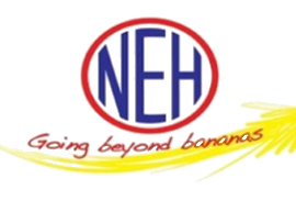 logo12-NEH-270-183_